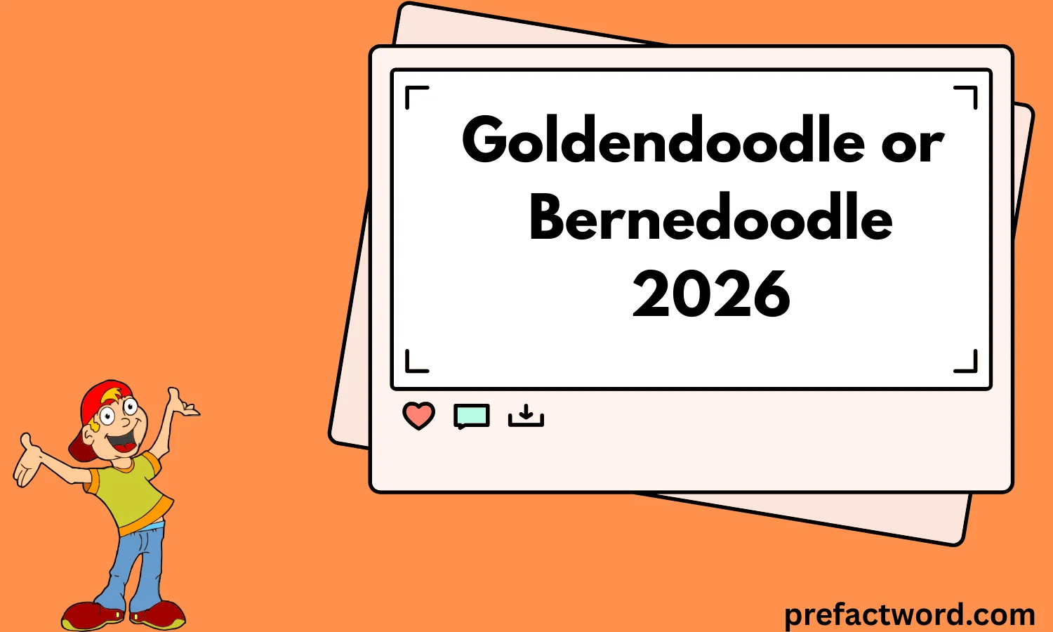 Goldendoodle or Bernedoodle