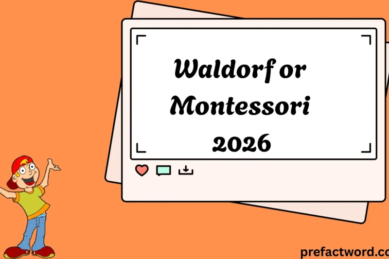 Waldorf or Montessori Hidden Truths Revealed 2026