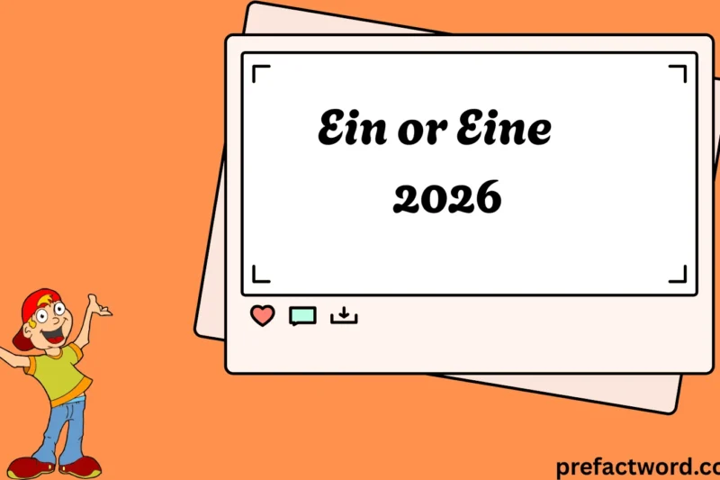 Ein or Eine The Truth Behind German Articles 2026