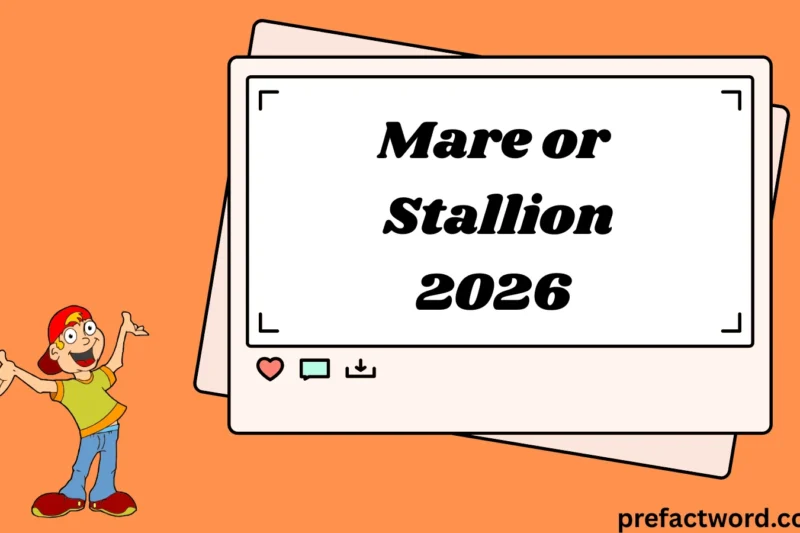 Mare or Stallion Meaning in Texting & Chat 2026