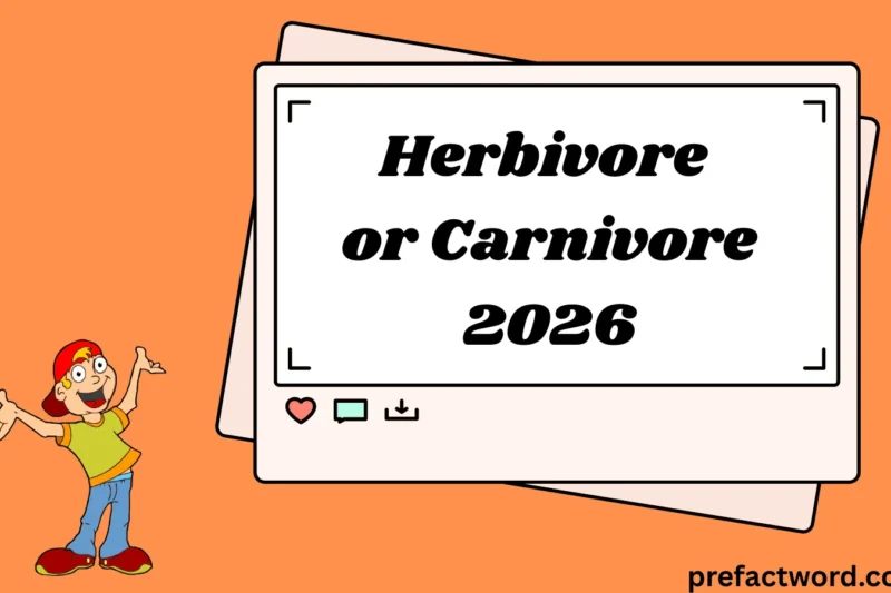 Herbivore or Carnivore What Do These Words Really Mean in Everyday Chat?2026