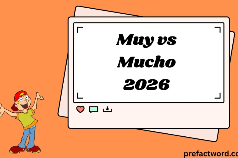 Understanding Muy vs Mucho Master Spanish Texting & Chat Lingo 2026
