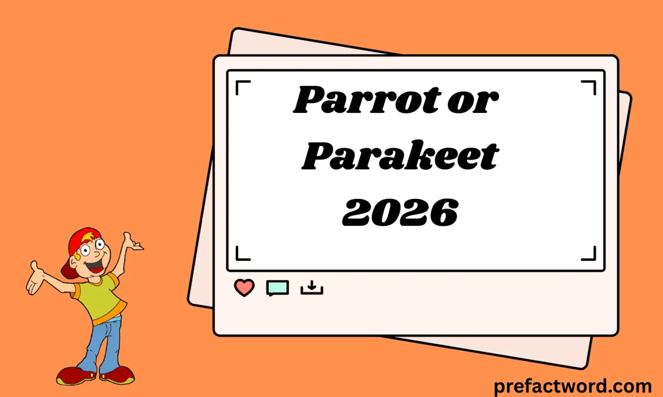 Parrot or Parakeet
