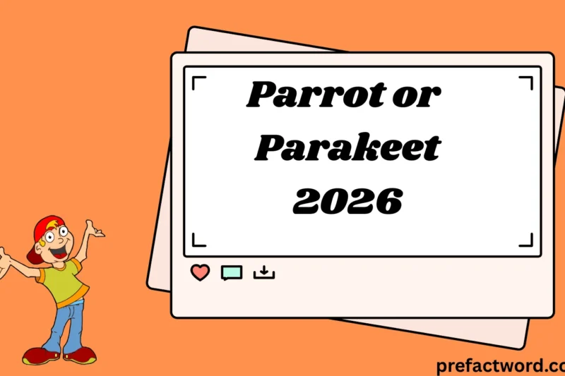 Parrot or Parakeet: What’s the Real Difference?2026