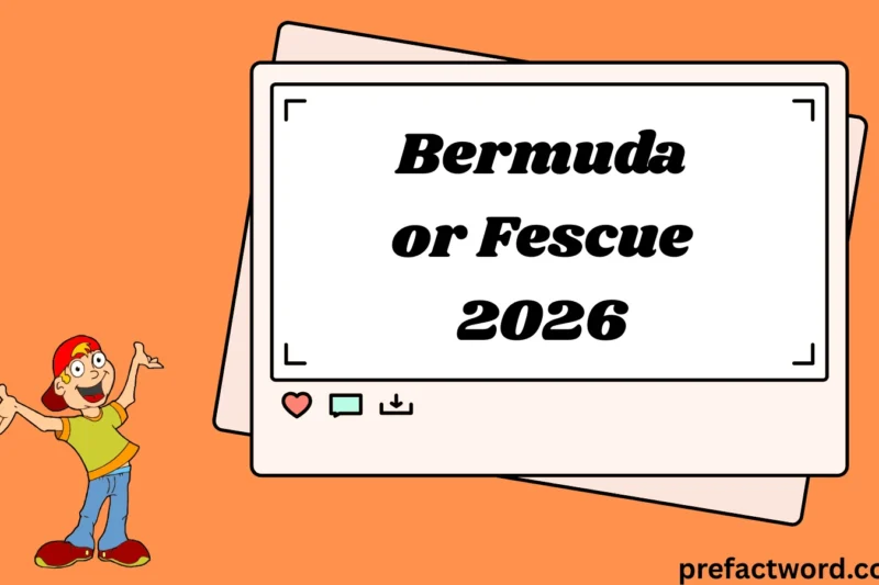 Bermuda or Fescue Meaning in Texting & Chat 2026