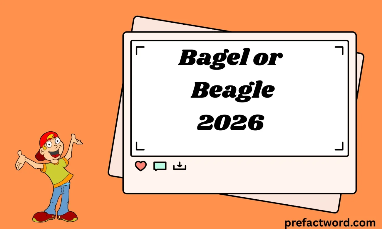 Bagel or Beagle