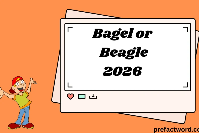 Bagel or Beagle Meaning in Text What People Really Mean 2026