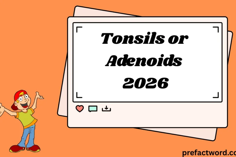 Tonsils or Adenoids What People Really Mean 2026