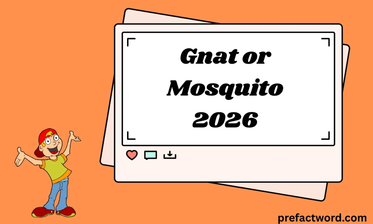 Gnat or Mosquito