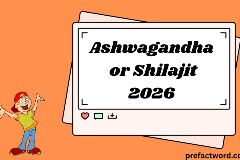 Ashwagandha or Shilajit Which One Is Better?2026