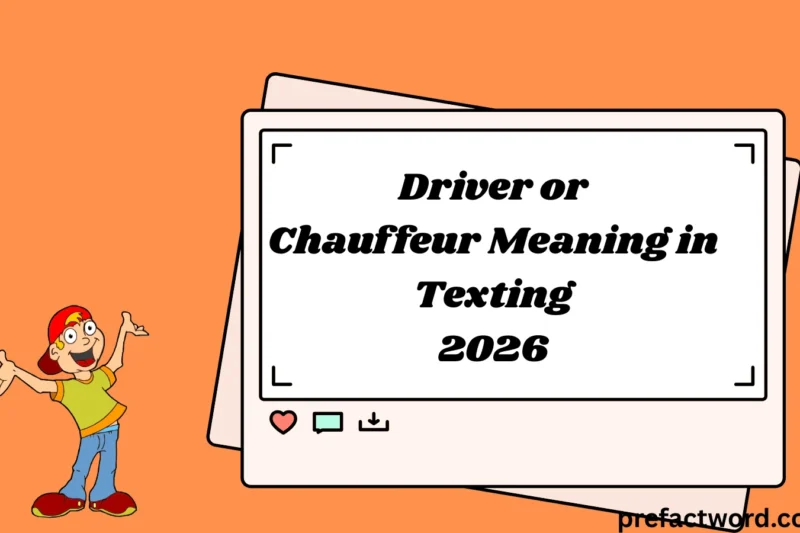 Driver or Chauffeur Meaning in Texting Explained 2026