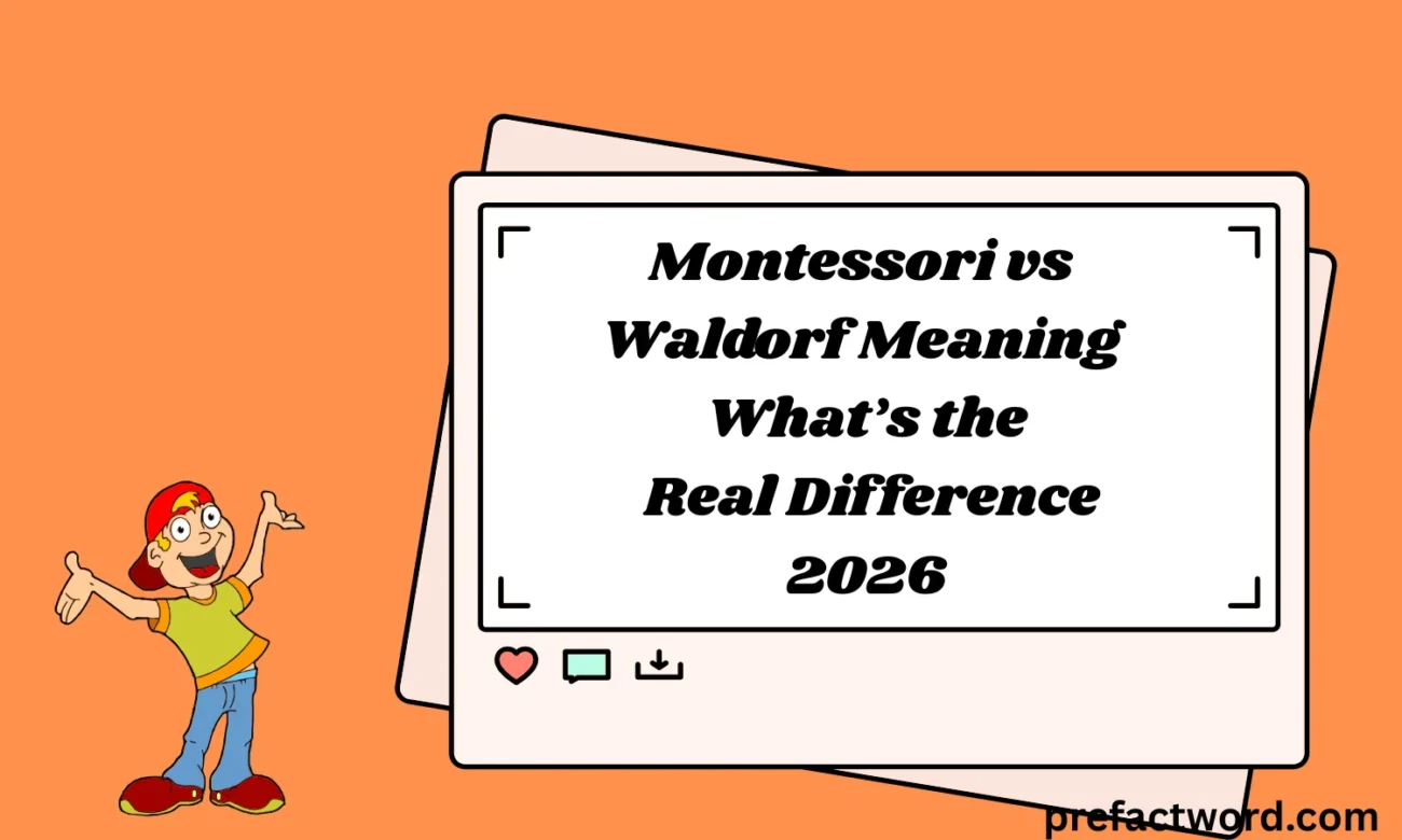 Montessori vs Waldorf Meaning What’s the Real Difference