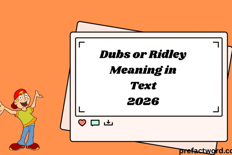 Dubs or Ridley Meaning in Text and Chat Explained 2026